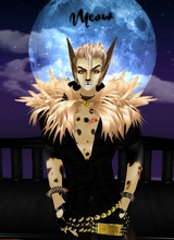 TheRumTumTugger