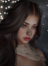 Tiramisu21