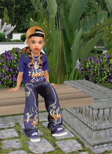 avpic