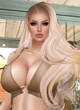 LAICE