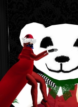 Guest_XGreyFoxX