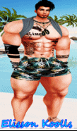 ElissonKoolls