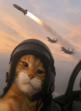 a10