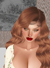 XCosette