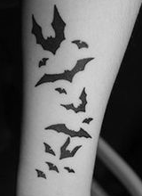 Canvas: BatPlague