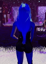 Guest_alleykittykat123
