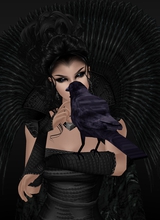 Canvas: xRavenShadowx