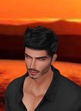 Guest_srdjanblack