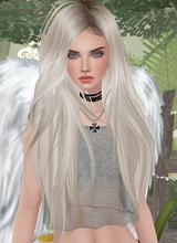 LizzyDarcyD