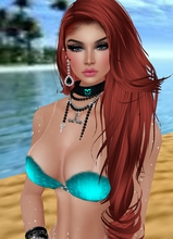DjShelly