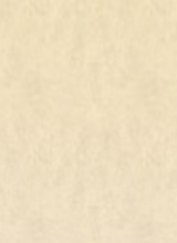 Canvas: lPogget