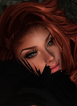 KATvonNip