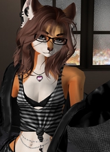 LoxyFoxy