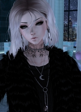 avatar-billede