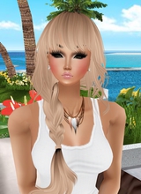 T3dDina