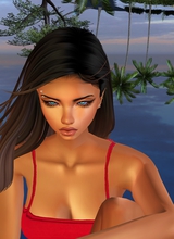 SueAnn02