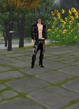 AARYANG