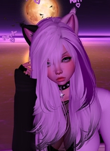 DarkkynStardust