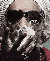 SnoopLionVU