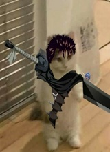 avatar picture