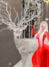 Guest_annavoralberg