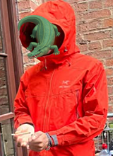X10