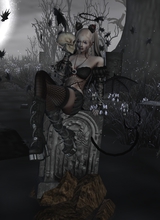 AllyStorm