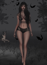 AllyStorm