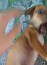Kiltro