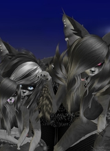 SnowNocturnia
