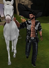 Guest_waguinhoscorpion21