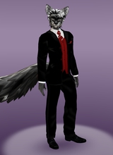 MontanaDracowolf