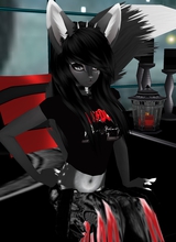 ShinoaWolfsHeart