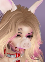 dumbpiggyslave