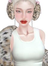 Sofista