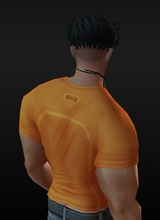 TepMoc