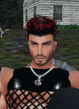 ShiroghWolfsheart