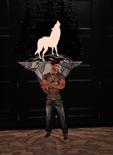 ShiroghWolfsheart