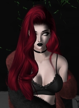 Canvas: DemeterVile