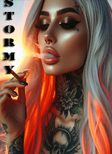 XStormyNightsX