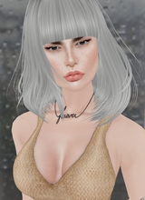 Canvas: lTayna