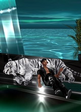 XBlackTigerX