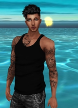 XBlackTigerX
