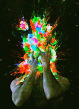 TouchOfMadness