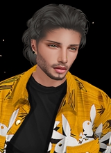 4R4M