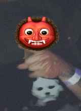 avpic