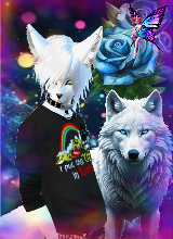 Wolfiesapphirerose