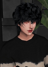 Guest_ZaneSutcliffe
