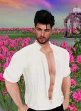Guest_Amraine