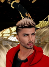 Guest_KAMIKAZbiz